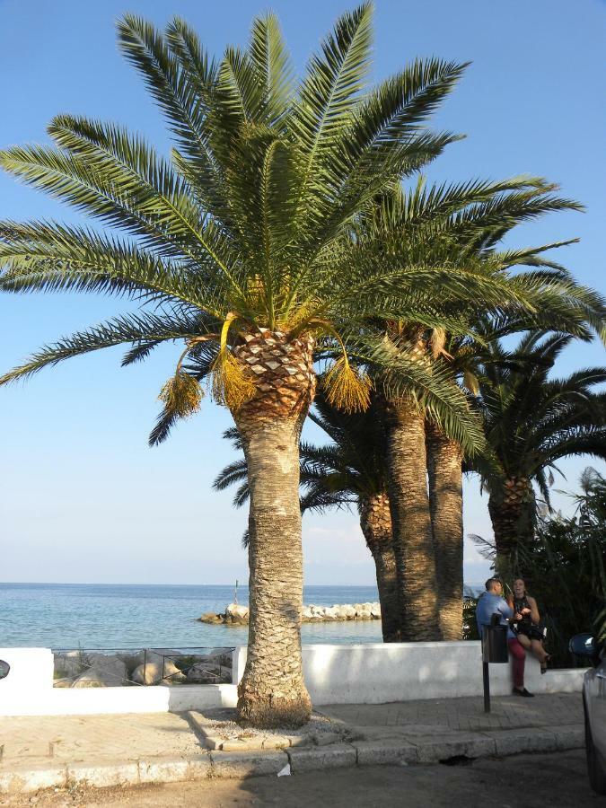 Apartamento Delle Palme Casteldaccia